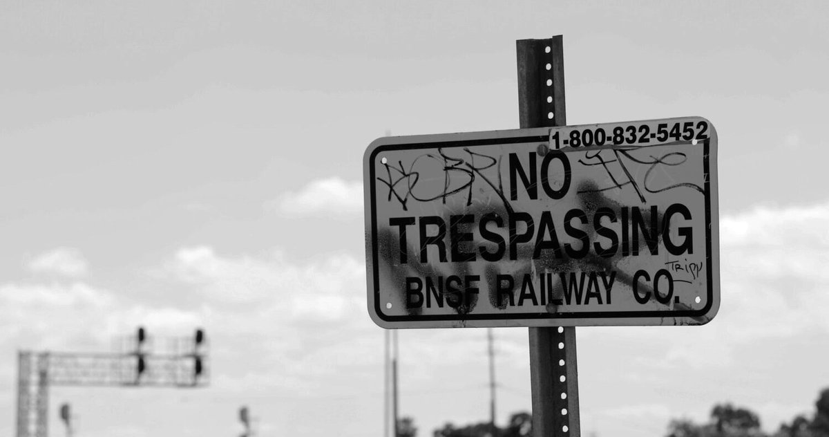 Photo from the movie Ferroequinology