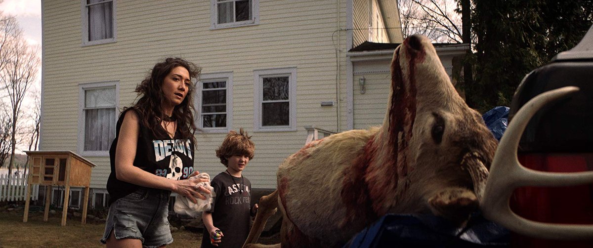 Photo du film The Wretched