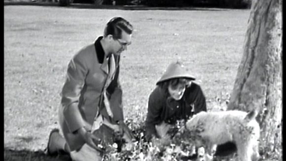 Photo du film Bringing Up Baby