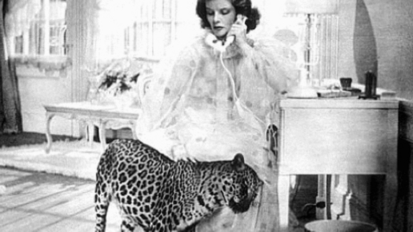 Photo du film Bringing Up Baby