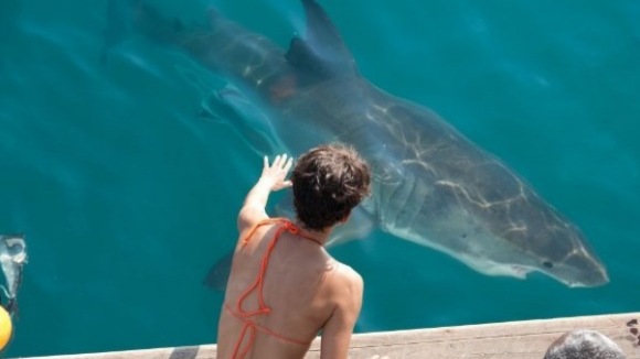 Photo from the movie Dark Tide