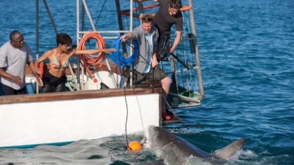 Photo from the movie Dark Tide