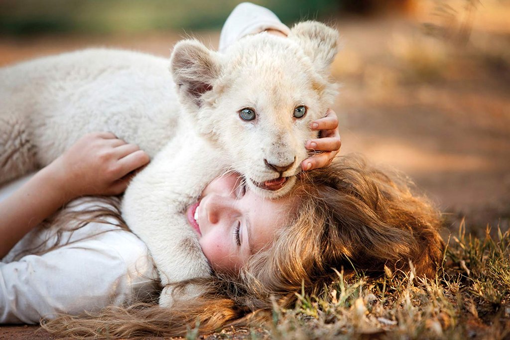 Photo du film Mia et le lion blanc