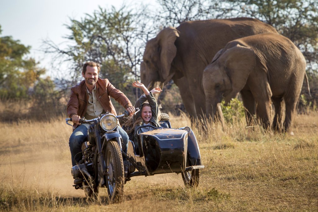 Photo du film Mia et le lion blanc