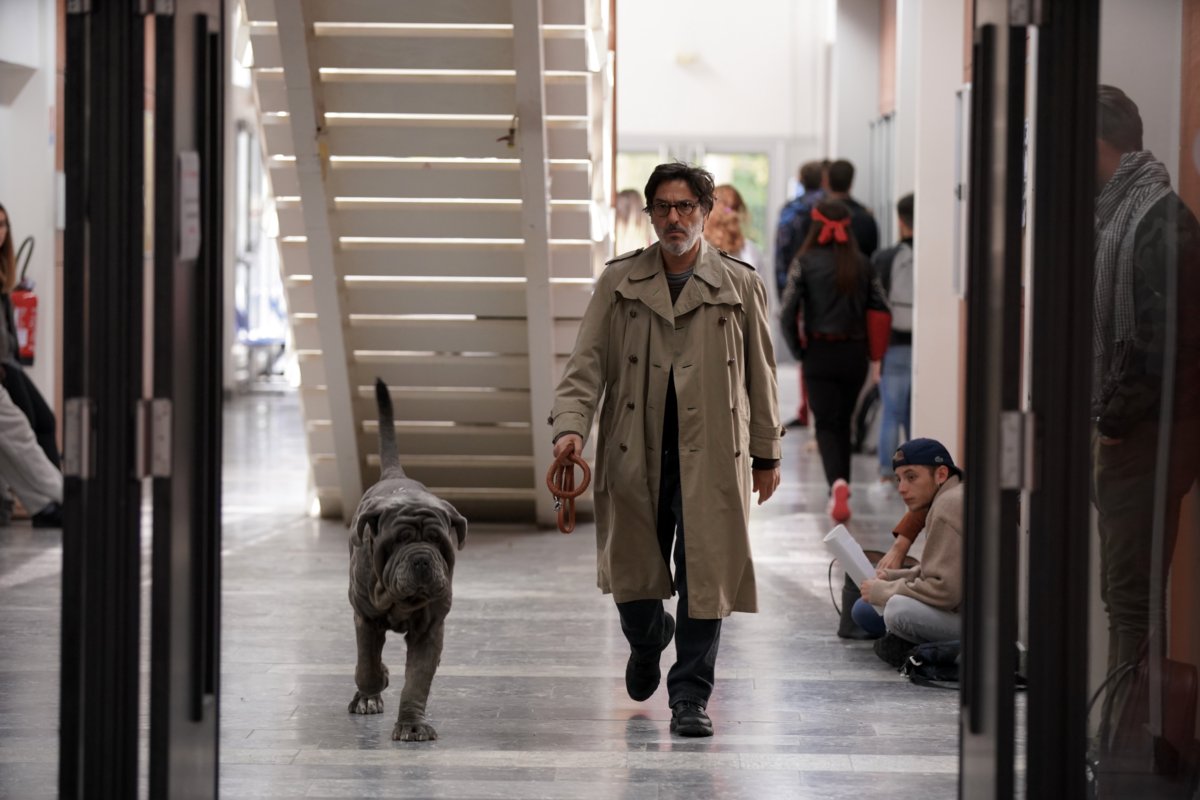 Photo from the movie Mon chien Stupide