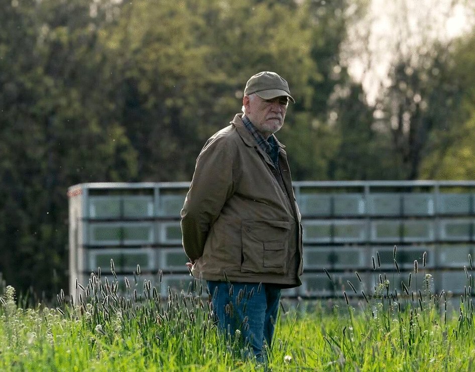 Photo du film Little Wing