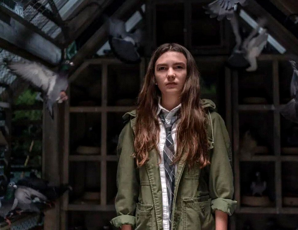 Photo du film Little Wing