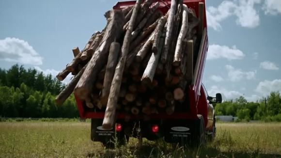 Photo du film La Gang des hors-la-loi