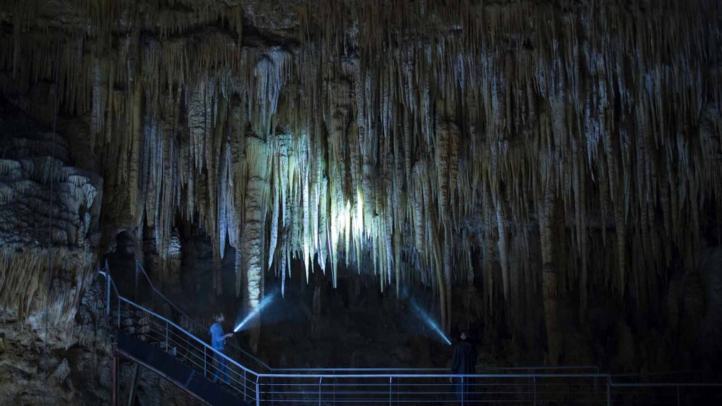 Photo du film Les Fauves