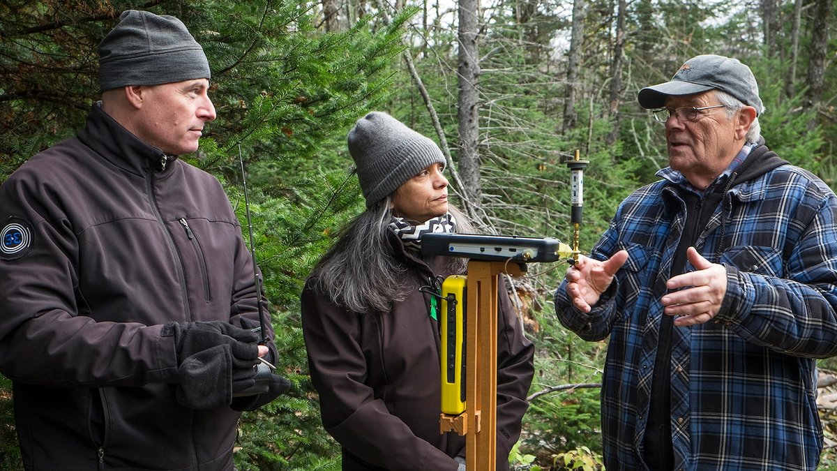 Photo from the movie Prisons sans barreaux