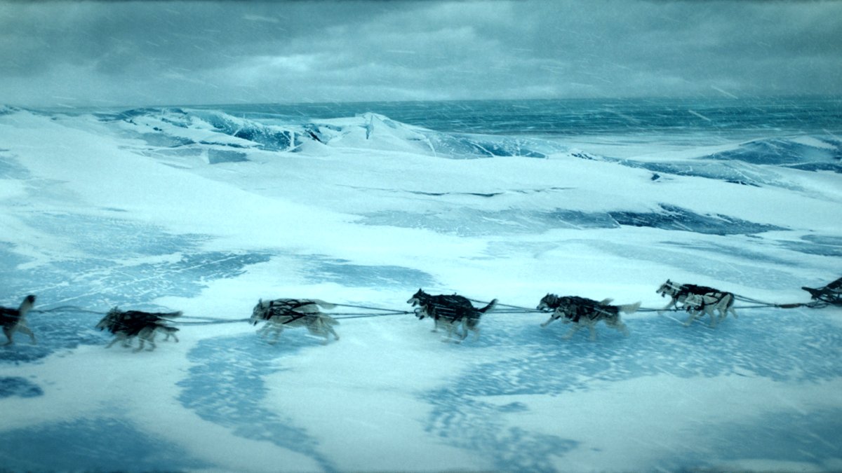 Photo from the movie Togo