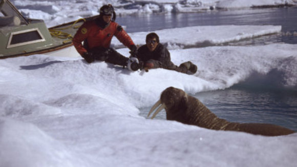 Photo du film Conte au coeur de l'Arctique