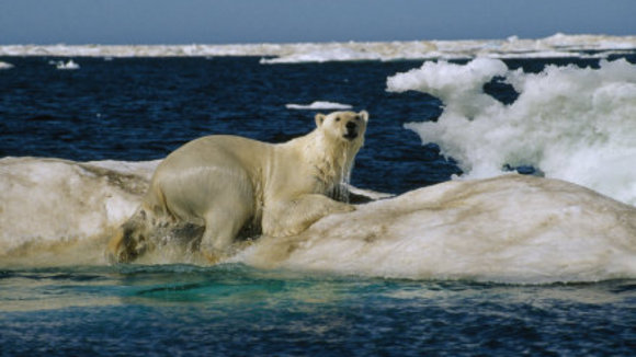 Photo du film Conte au coeur de l'Arctique