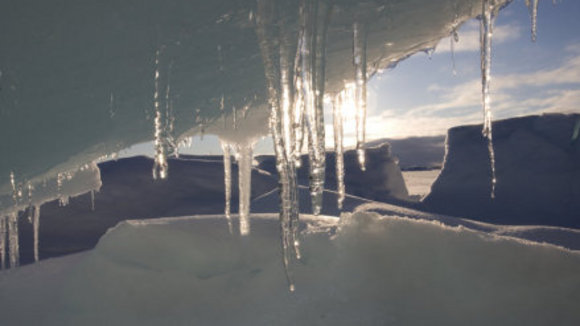 Photo du film Conte au coeur de l'Arctique