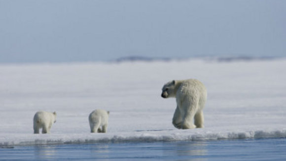 Photo du film Conte au coeur de l'Arctique