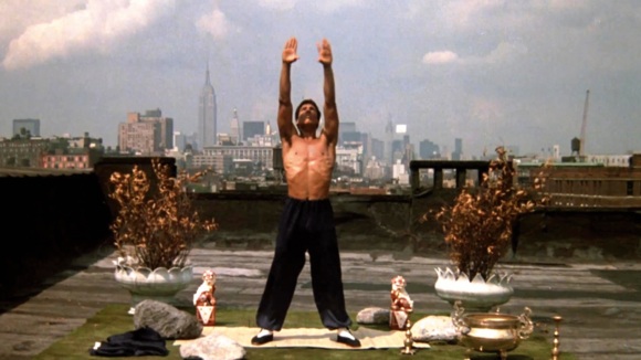 Photo du film The Last Dragon