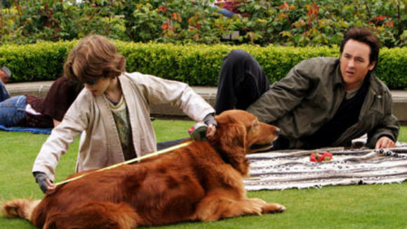 Photo du film The Martian Child