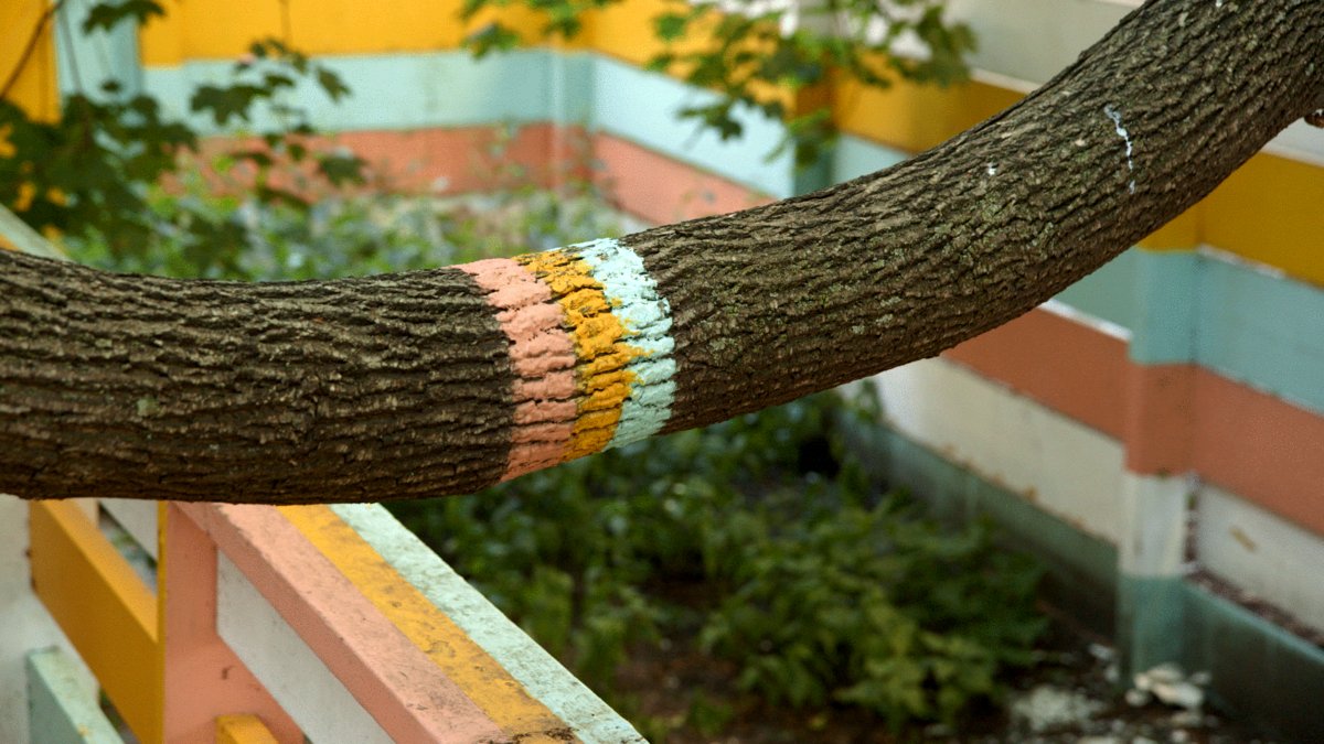 Photo du film So Late So Soon