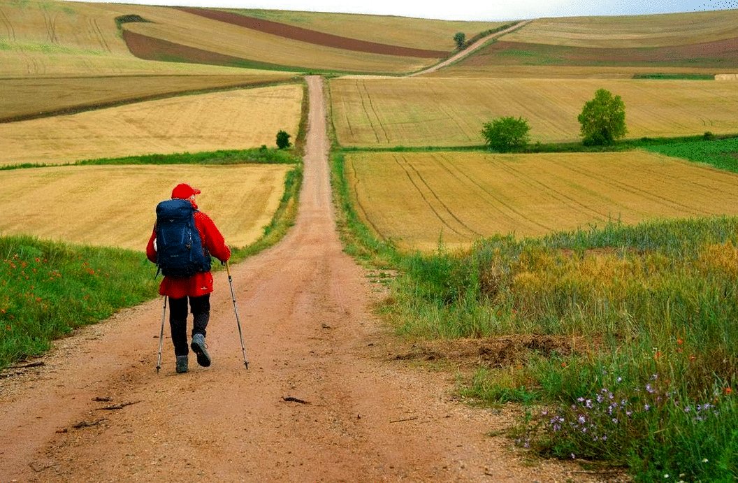 Photo du film The Way, My Way