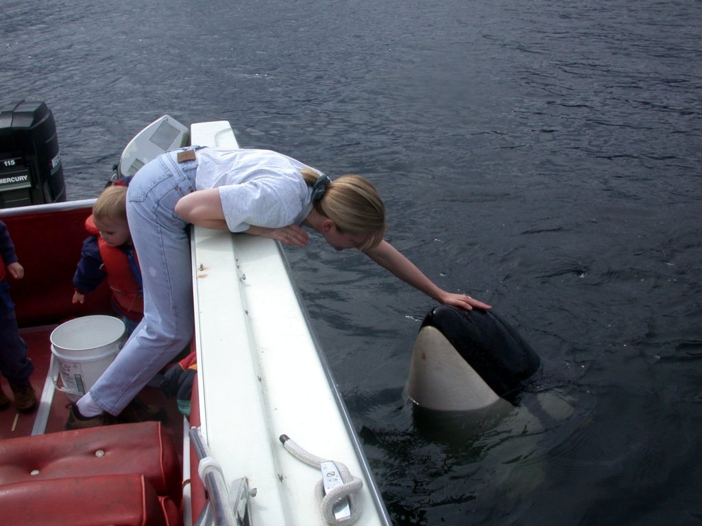 Photo from the movie The Whale