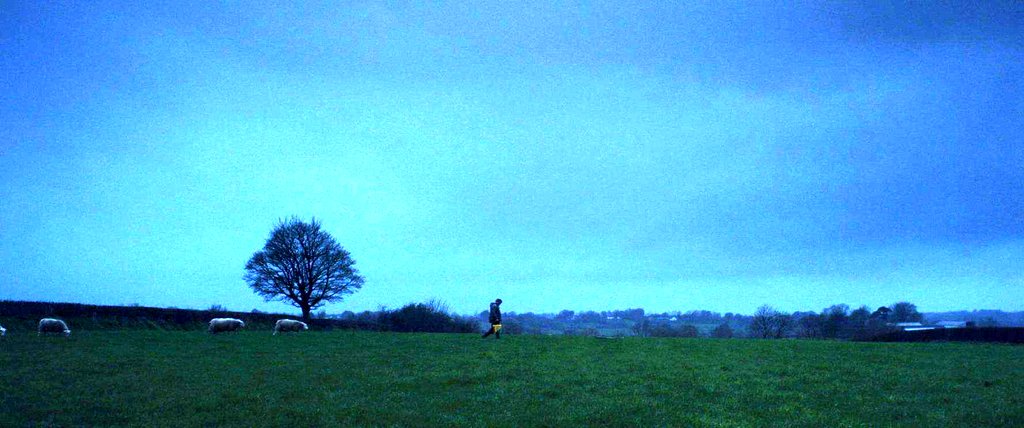 Photo du film Bad Day for the Cut