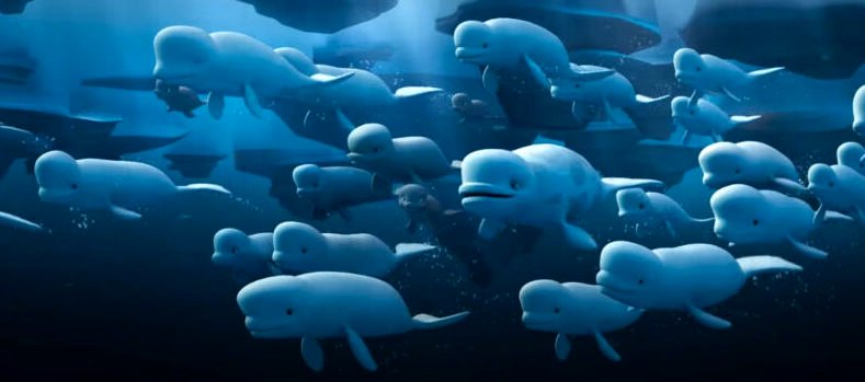 Photo du film Katak, le brave béluga