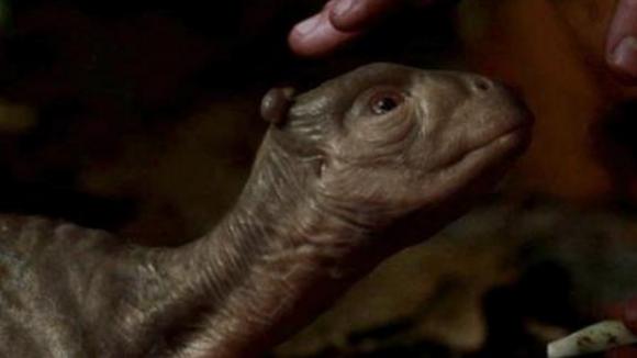 Photo du film Le Dragon des mers: La dernière légende