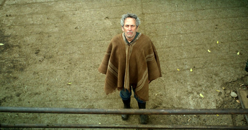 Photo from the movie The Cow Who Sang a Song Into the Future