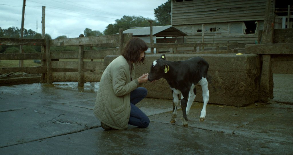 Photo from the movie The Cow Who Sang a Song Into the Future