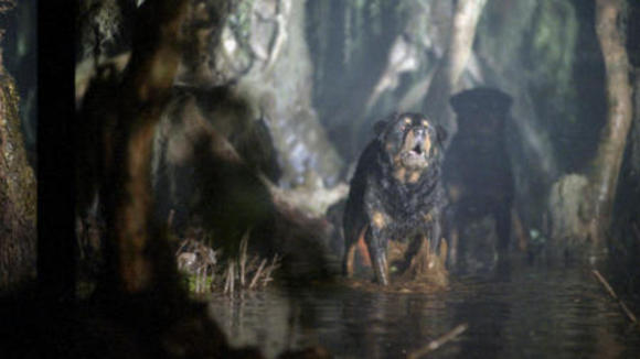 Photo from the movie Man Thing