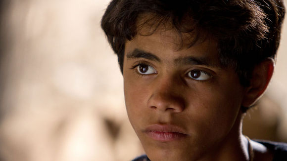 Photo from the movie Zaytoun