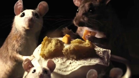 Photo du film Cendrillon