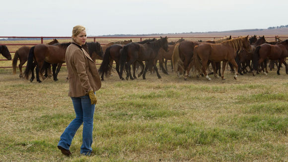Photo du film À la merveille