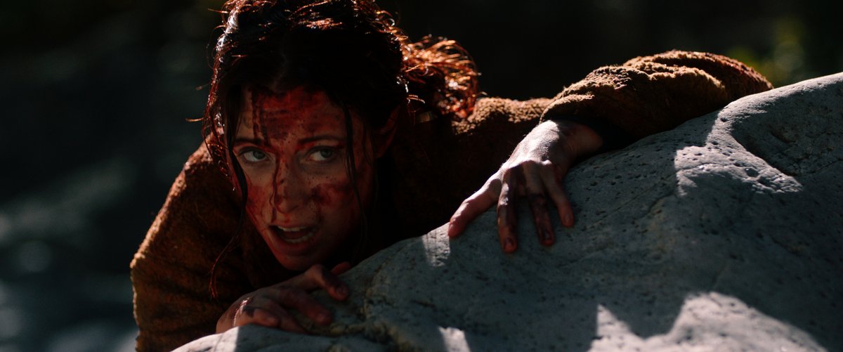 Photo du film Dark Nature