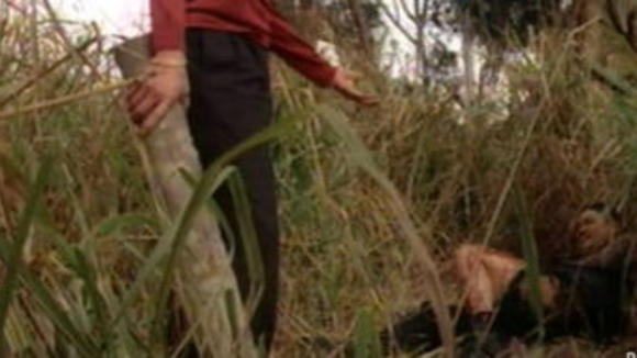 Photo du film Hak se wui