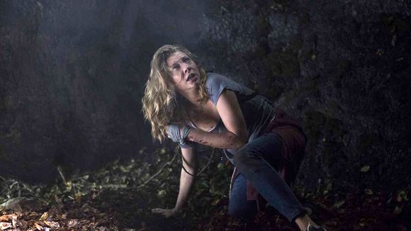 Photo du film La forêt