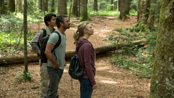 Photo du film La forêt