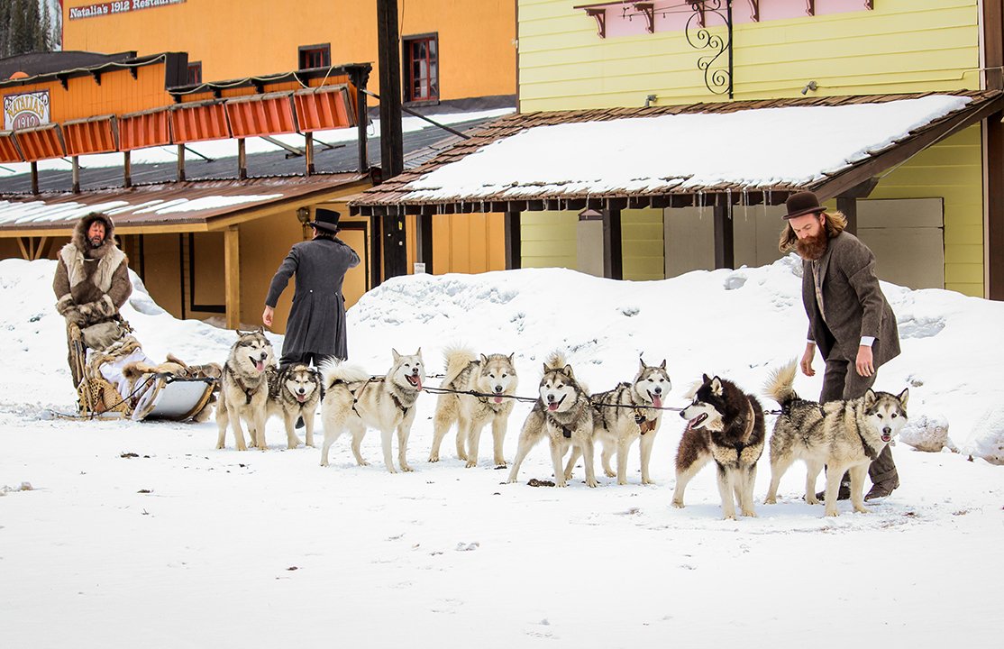 Photo du film The Great Alaskan Race