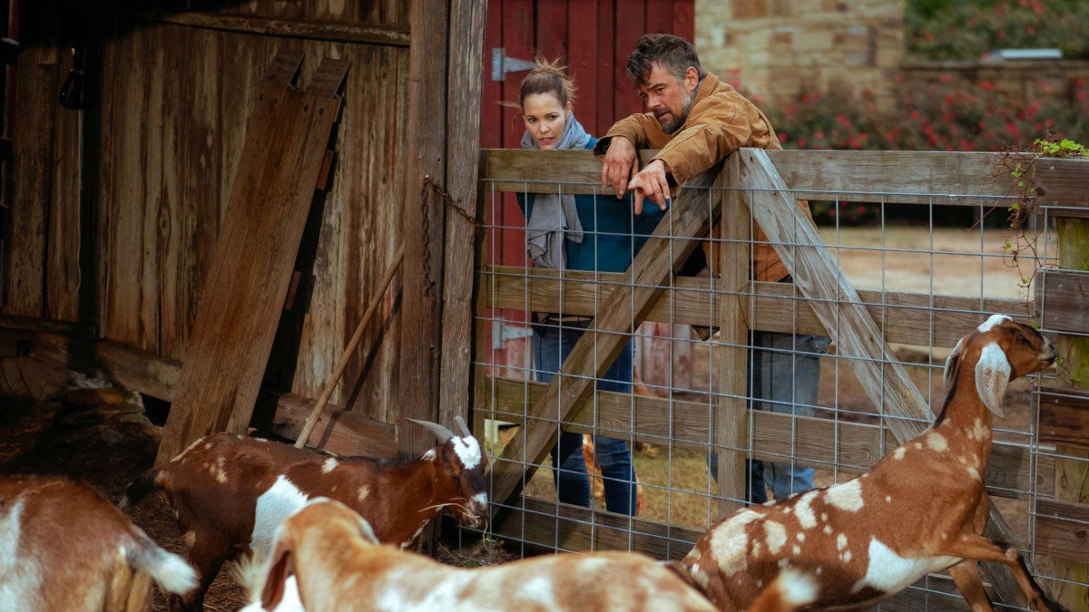 Photo from the movie The Lost Husband