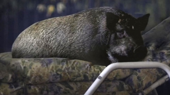 Photo du film 3, 2, 1... Frankie Go Boom