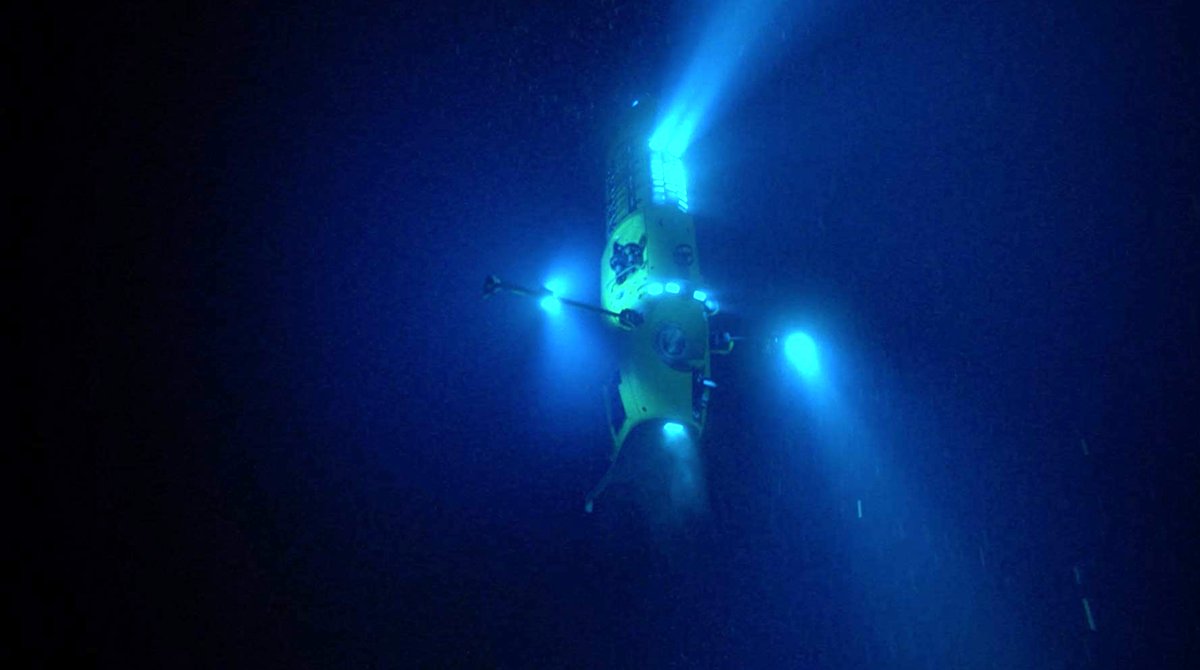 Photo du film Diving Deep: The Life and Times of Mike deGruy