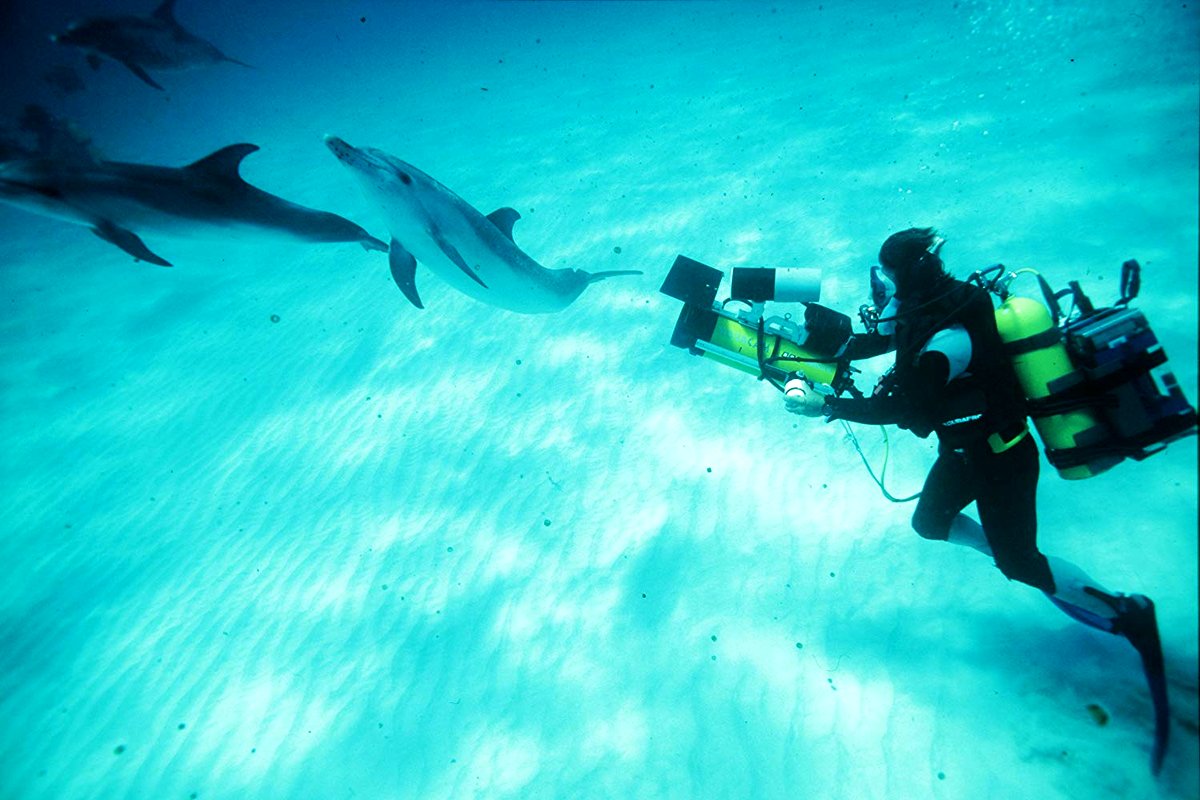 Photo du film Diving Deep: The Life and Times of Mike deGruy