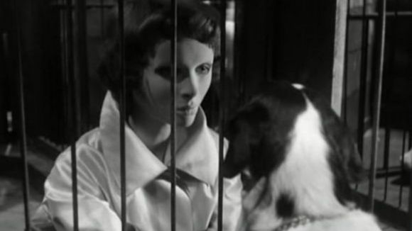 Photo du film Les yeux sans visage