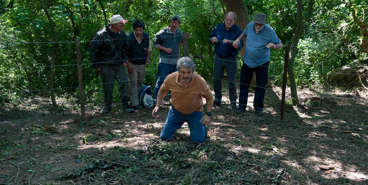 Photo du film Les Z-Héros