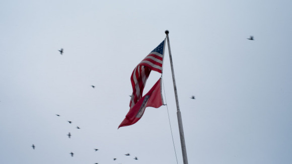 Photo from the movie West of Memphis