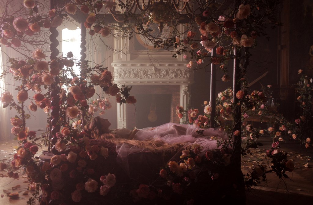 Photo du film Un Jour mon prince