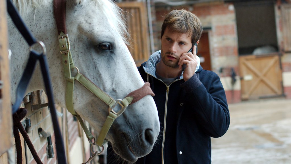 Photo du film Un Jour mon prince