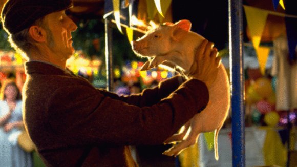 Photo du film Babe, le cochon