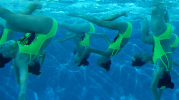 Photo du film Naissance des pieuvres