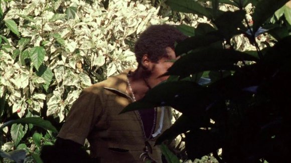 Photo from the movie The Harder They Come